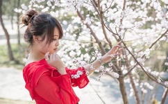 奇皇后电视剧全集免费观看完整版